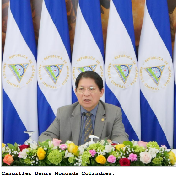 webinar-ong-cancilleria